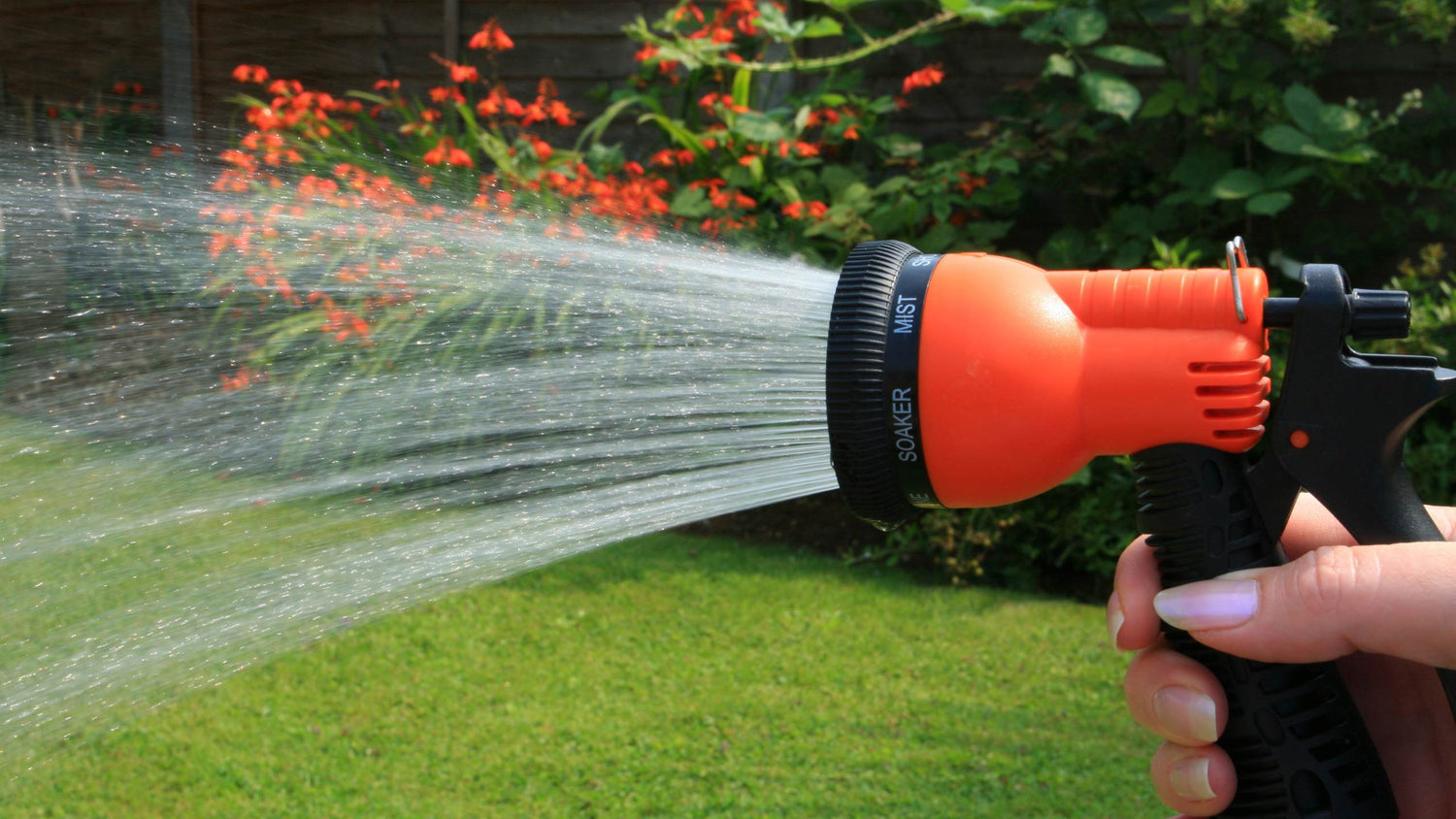 expandable garden hose