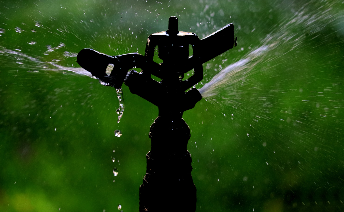 Essential Tips for Using Garden Sprinklers to Keep Your Garden Healthy